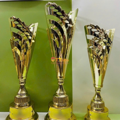 Cup thể thao 08