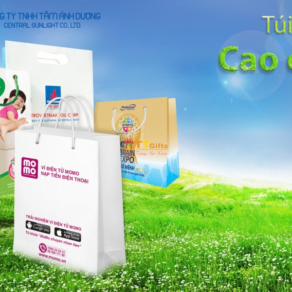 Túi giấy 03
